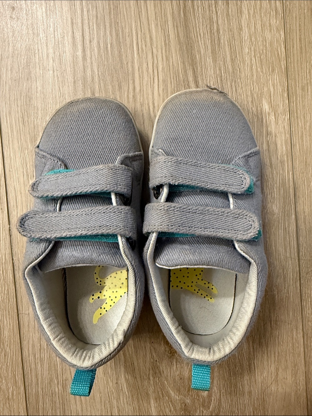 Grey Kids Canvas Hook-and-Loop Sneakers with Teal Accent
